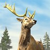 Archery Hunting 1.0.4 APK for Android Icon