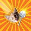 Candy Cat 1.1.1 APK for Android Icon