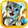 Cat Simulator 2.1.1 APK for Android Icon