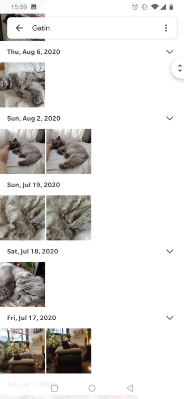 Google Photos 6.32.0.523150389 APK for Android Screenshot 8