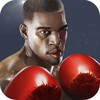 Punch Boxing 3D 1.1.5 APK for Android Icon