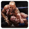 Real Wrestling 3D 1.10 APK for Android Icon
