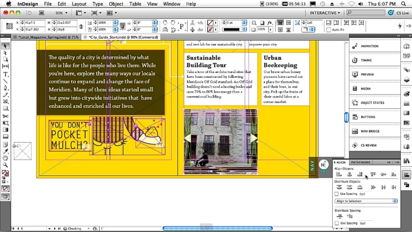 Adobe InDesign CS5.5 feature
