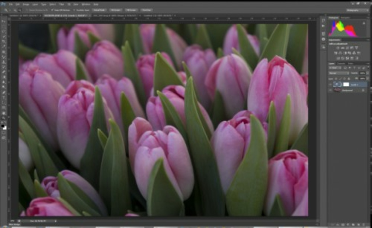 Adobe Photoshop Express CS6 Beta for Windows Screenshot 2