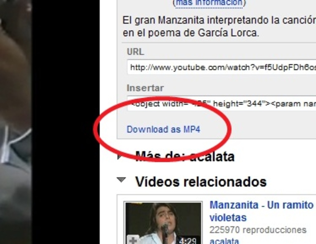Download Youtube As MP4 1.4.1 for Windows Screenshot 1
