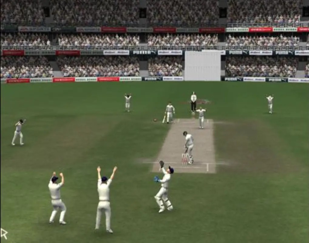 EA Sports Cricket 07 for Windows Screenshot 7