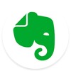 Evernote 10.55.1 for Windows Icon