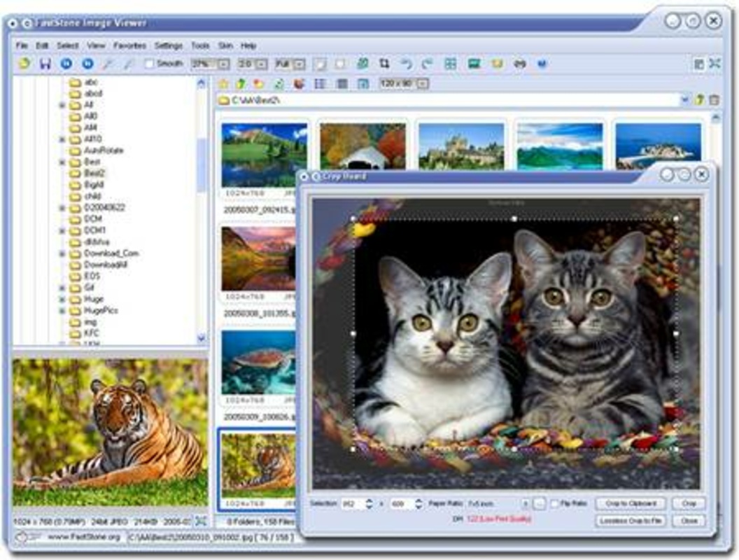 FastStone Image Viewer 7.7 for Windows Screenshot 1