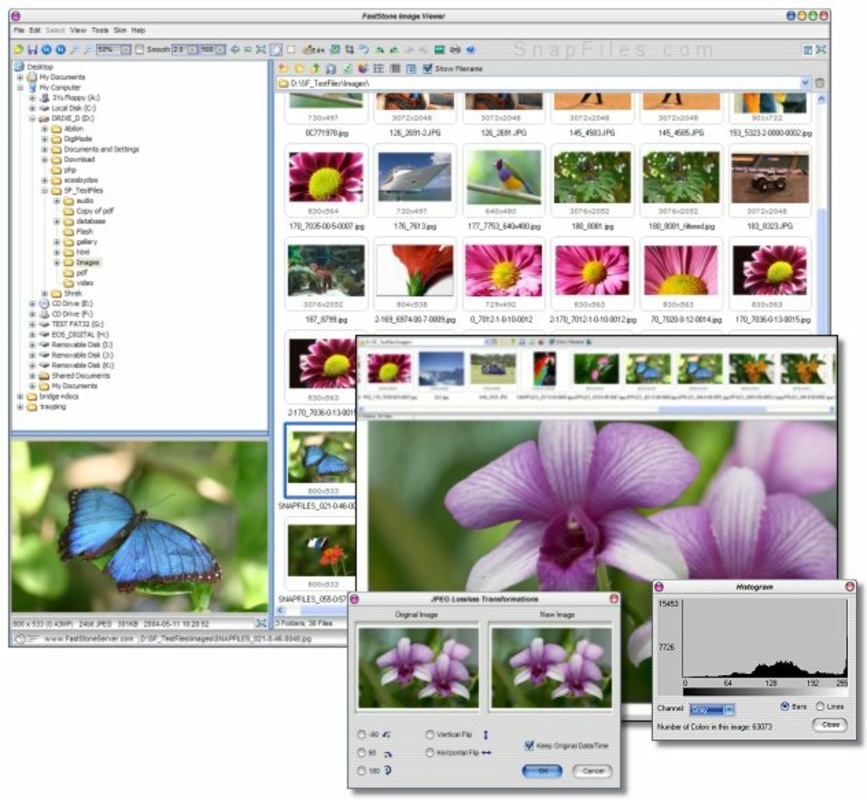 FastStone Image Viewer 7.7 for Windows Screenshot 3