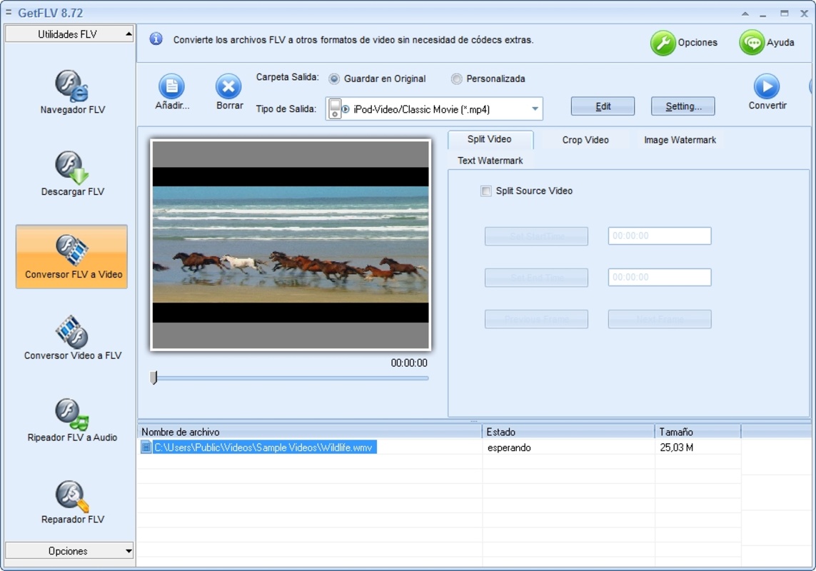 GetFLV 30.2303.28 for Windows Screenshot 3