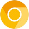 Google Chrome Dev icon