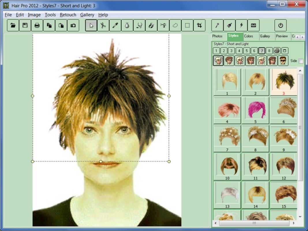 Hair Pro 2012 for Windows Screenshot 1