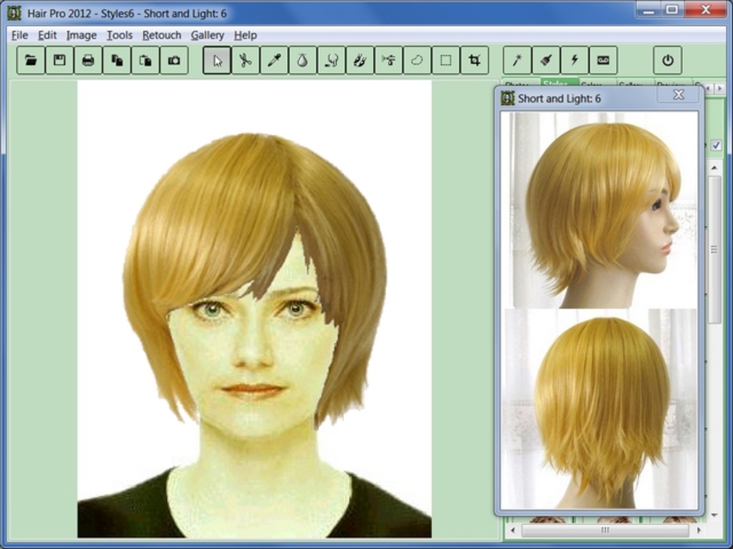 Hair Pro 2012 for Windows Screenshot 2