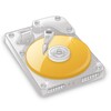 Hard Disk Sentinel 6.01 for Windows Icon