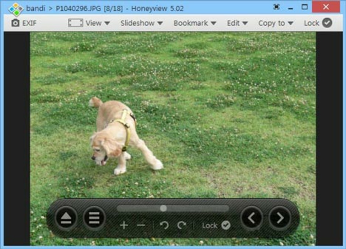 Honeyview 5.50 for Windows Screenshot 1
