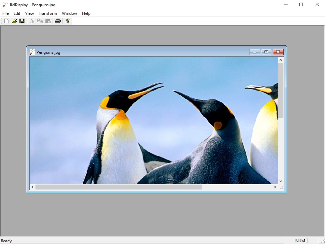 ImageMagick 7.1.1-4 for Windows Screenshot 1