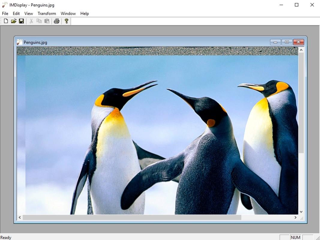 ImageMagick 7.1.1-4 for Windows Screenshot 2