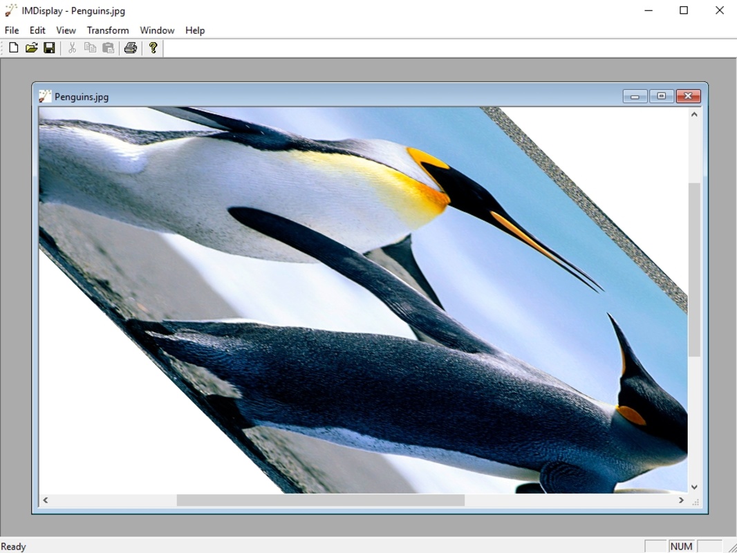 ImageMagick 7.1.1-4 for Windows Screenshot 3
