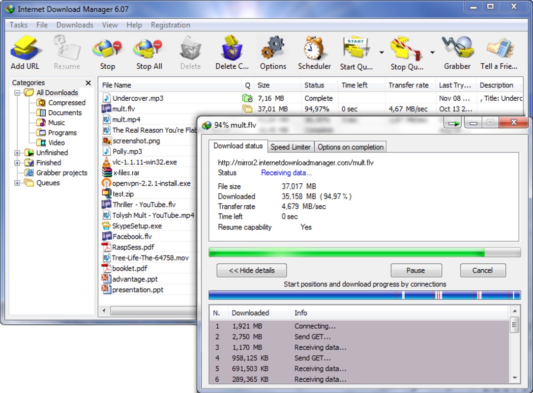 Internet Download Manager 6.41 Build 11 for Windows Screenshot 5