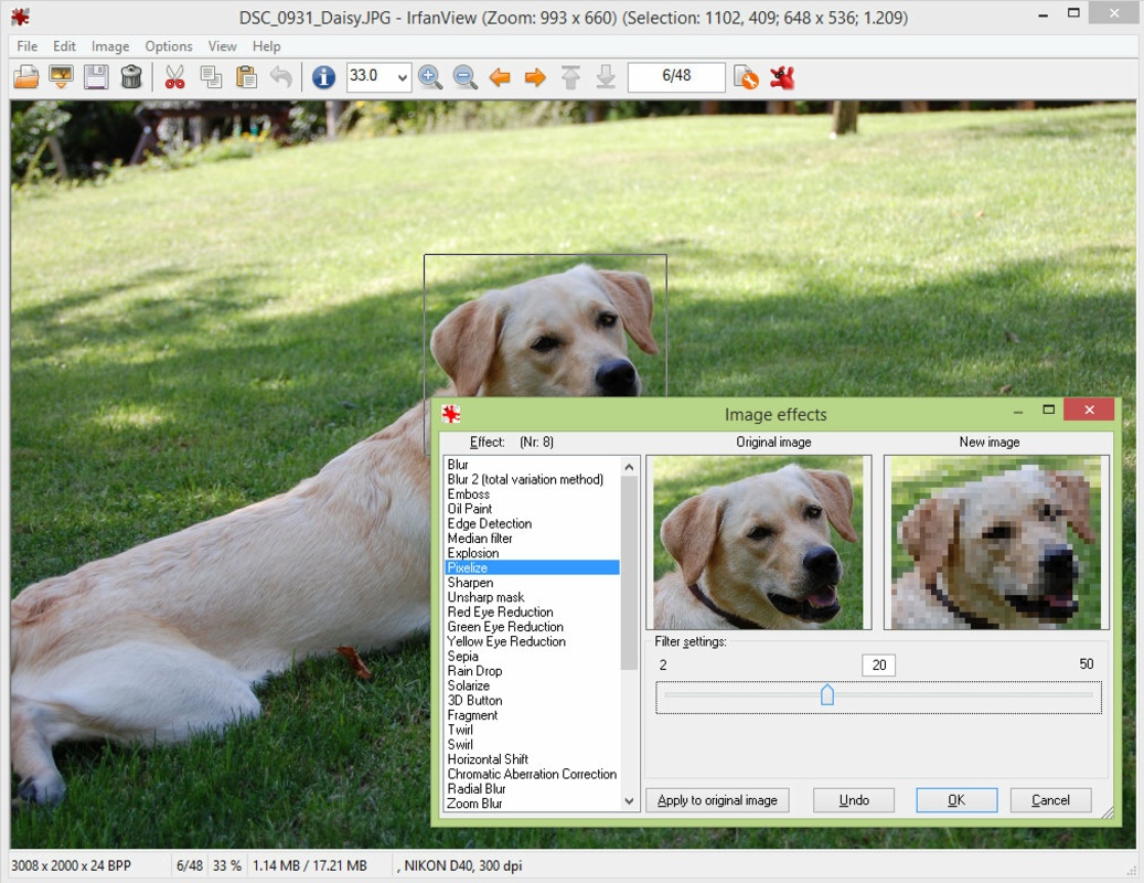 IrfanView 4.62 for Windows Screenshot 1