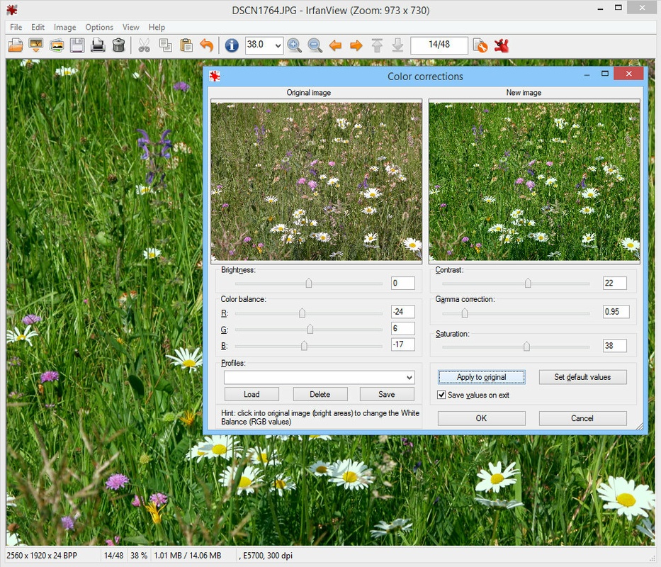 IrfanView 4.62 for Windows Screenshot 4