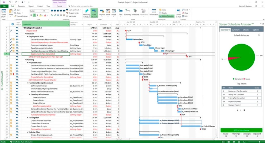 Microsoft Project Professional 2016 feature