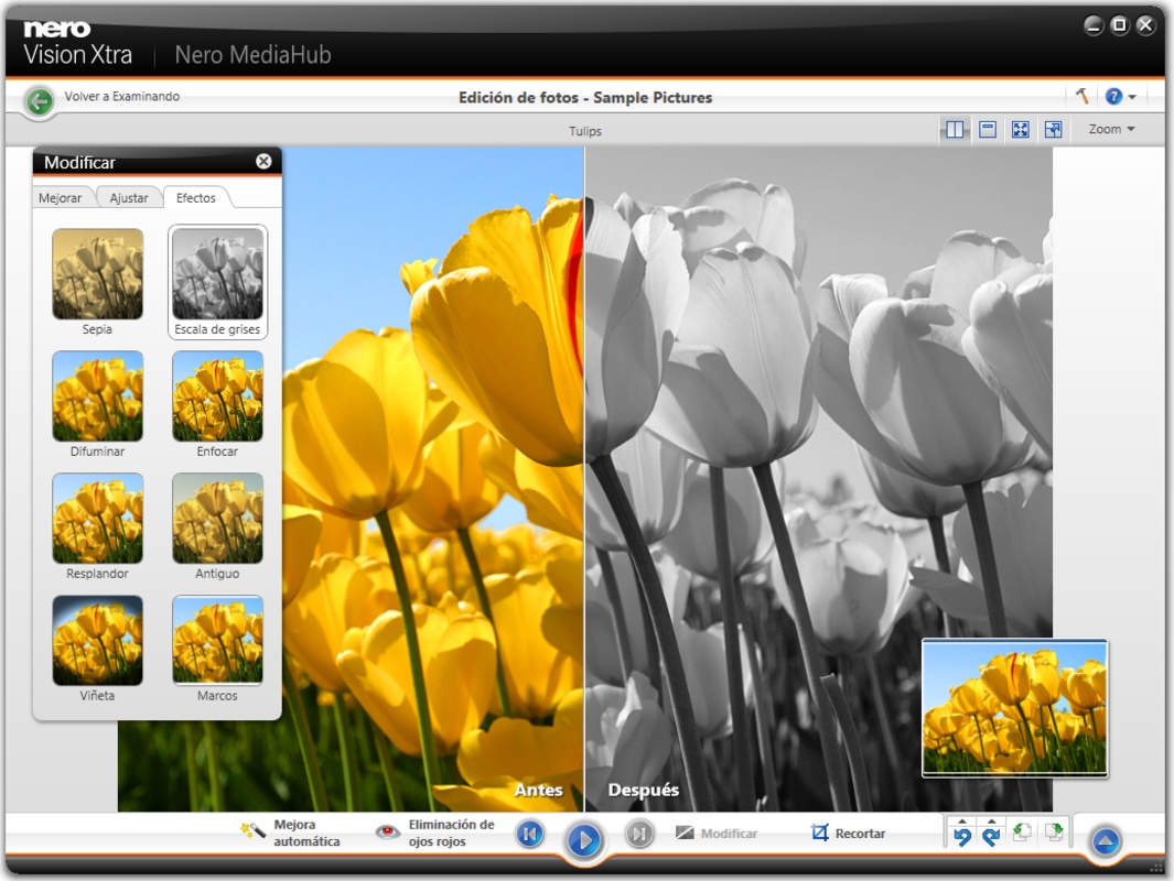 Nero Platinum Suite 25.5.1020 for Windows Screenshot 4