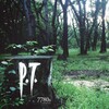 P.T. for PC 0.9.2 for Windows Icon