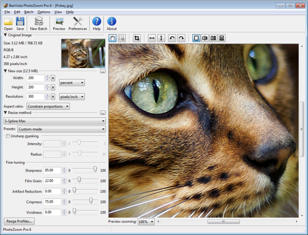 PhotoZoom Pro 6.0.6 feature