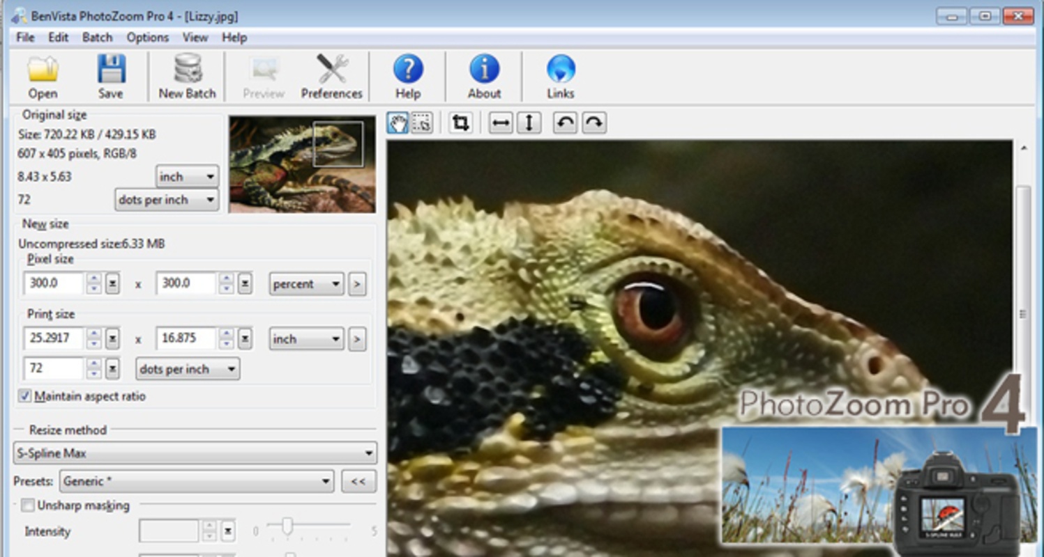 PhotoZoom Pro 6.0.6 for Windows Screenshot 2