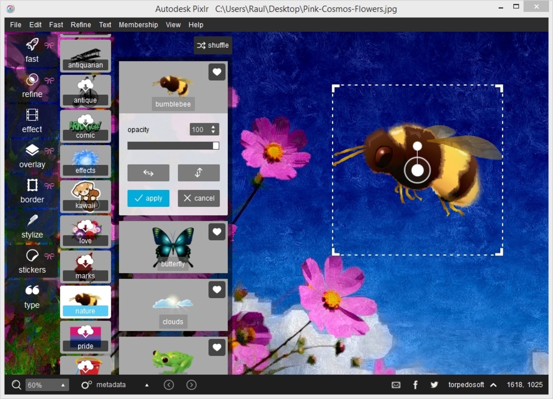 Pixlr Desktop 1.1.1.0 for Windows Screenshot 3