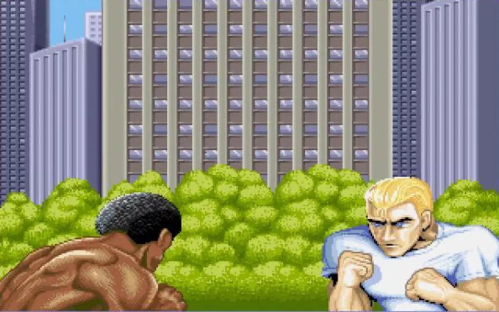 Street Fighter 2  for Windows Screenshot 2