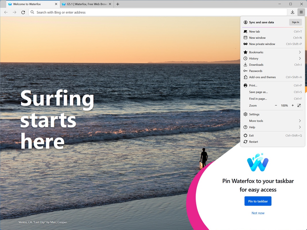 Waterfox G:5.1.2 for Windows Screenshot 2