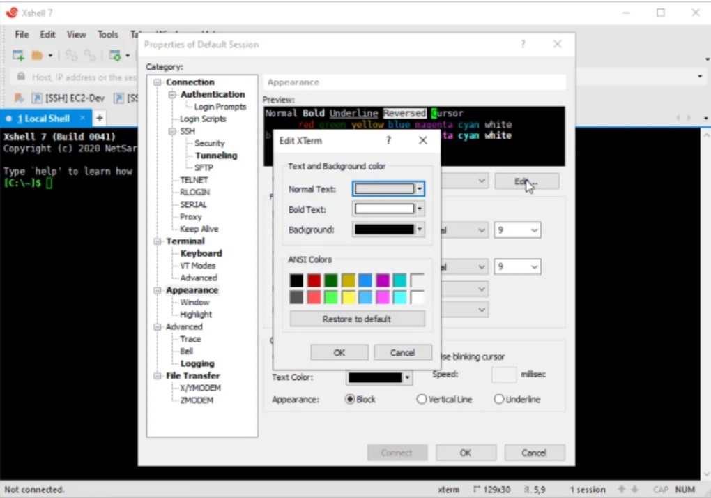 XShell 7.0.0113 for Windows Screenshot 1