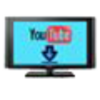 YouTube Video Ripper 2.90 for Windows Icon